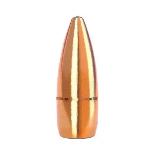 .223/5.56 (.224) 55g FMJ-BT 5000RDS