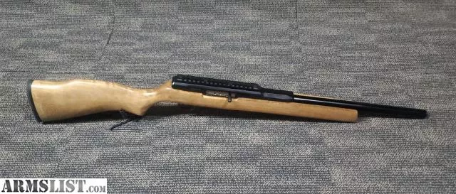 GREAT FOR YOUR PESTS AND TARGET SHOOTING from RW Pawn near Vancouver, WA