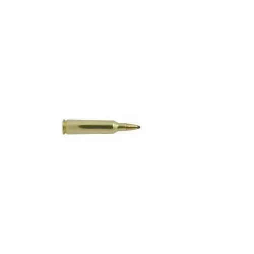 WINCHESTER Winchester Super-X 22-250 55gr JSP